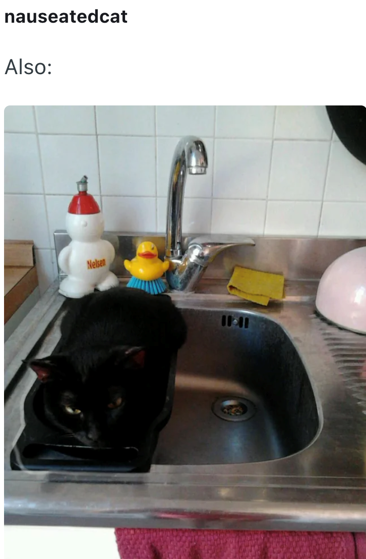 nauseatedcat Also: Nelsen 11-11