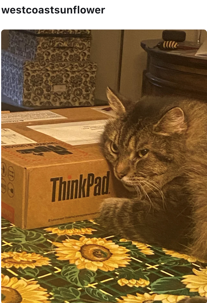 westcoastsunflower ThinkPad & Lenoveland Tha