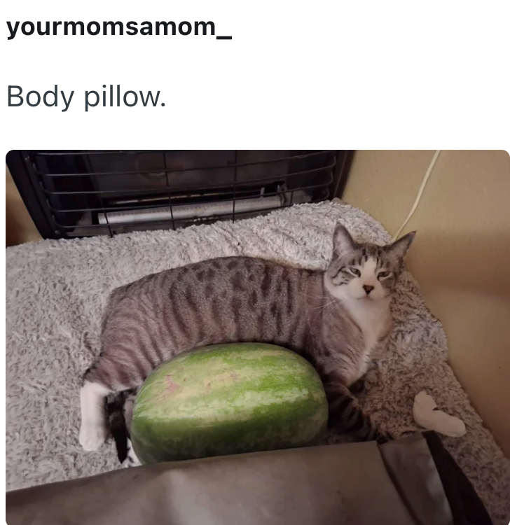 yourmomsamom_ Body pillow.