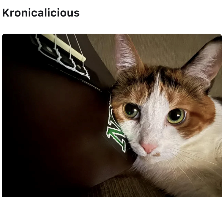 Kronicalicious