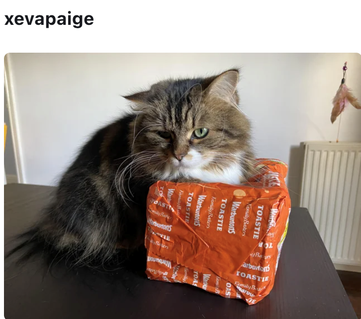 xevapaige TOASTIE Family Bakers TOP Bas arburtons TOASTIE Family B arou 31 E Warburtons TOASTIE Family Bakers Warburtons TOASTIE Family B Warby TO OAST ily Babe Warburtons Beters OAS Fami B Warbu TOAS Warburton ly Bak