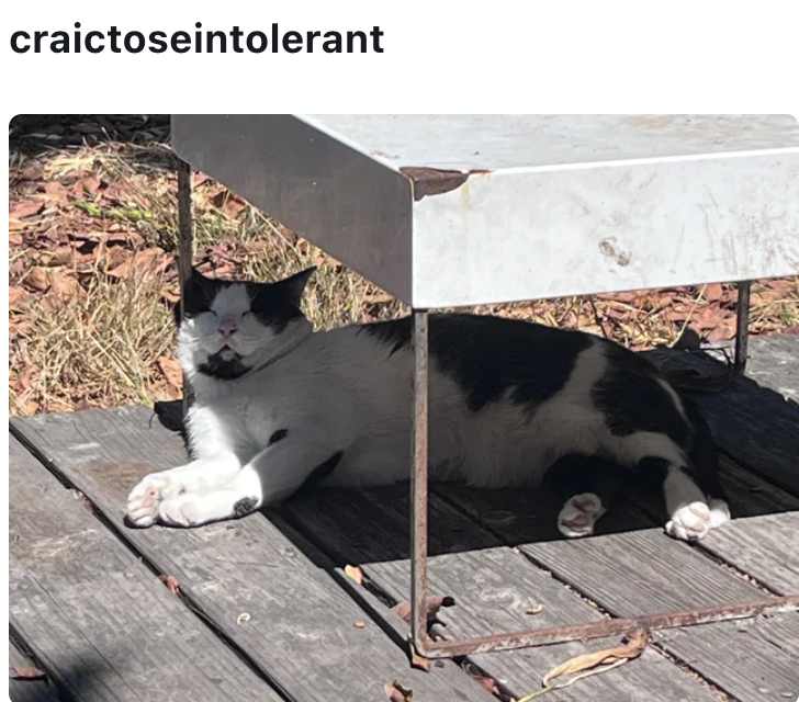 craictoseintolerant