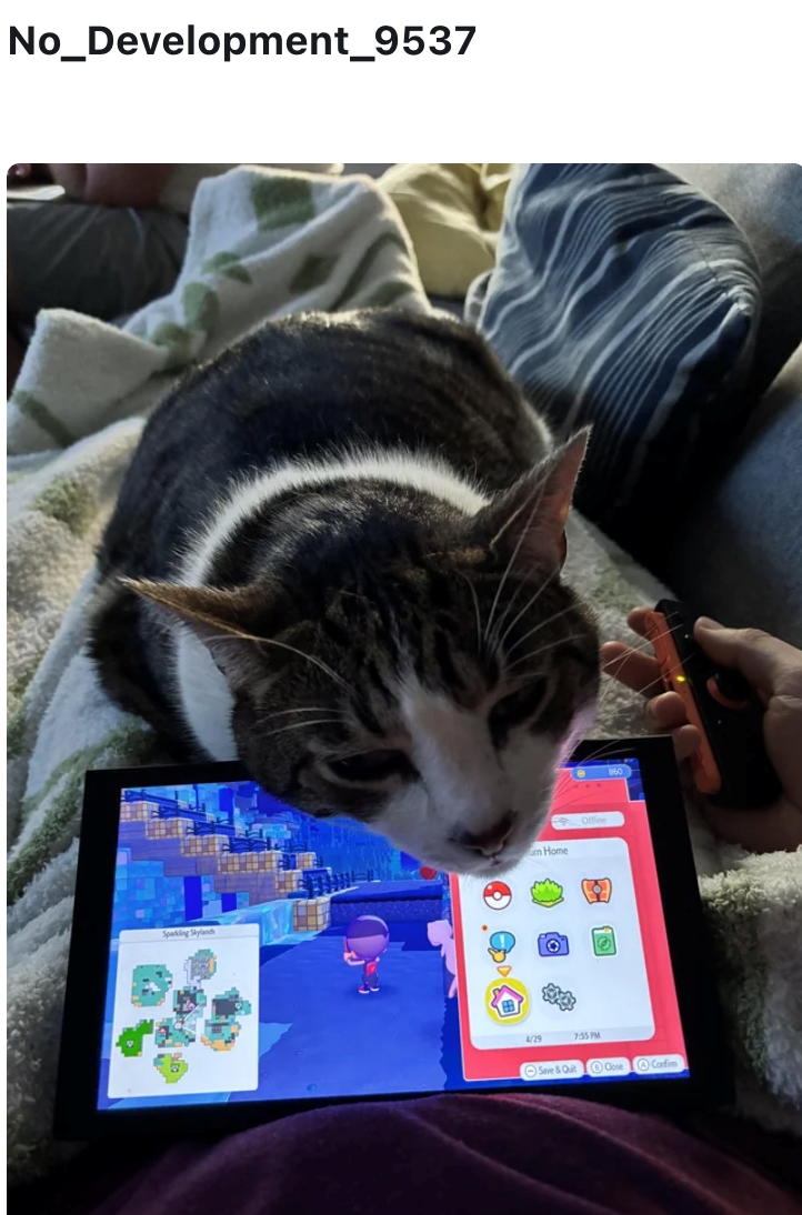 No_Development_9537 Sparkling Skylands Gm Home 4/29 7:55 PM Save & Quilt Close Confim