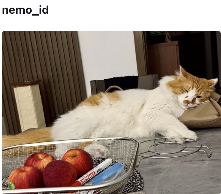 nemo_id SNOWMANER