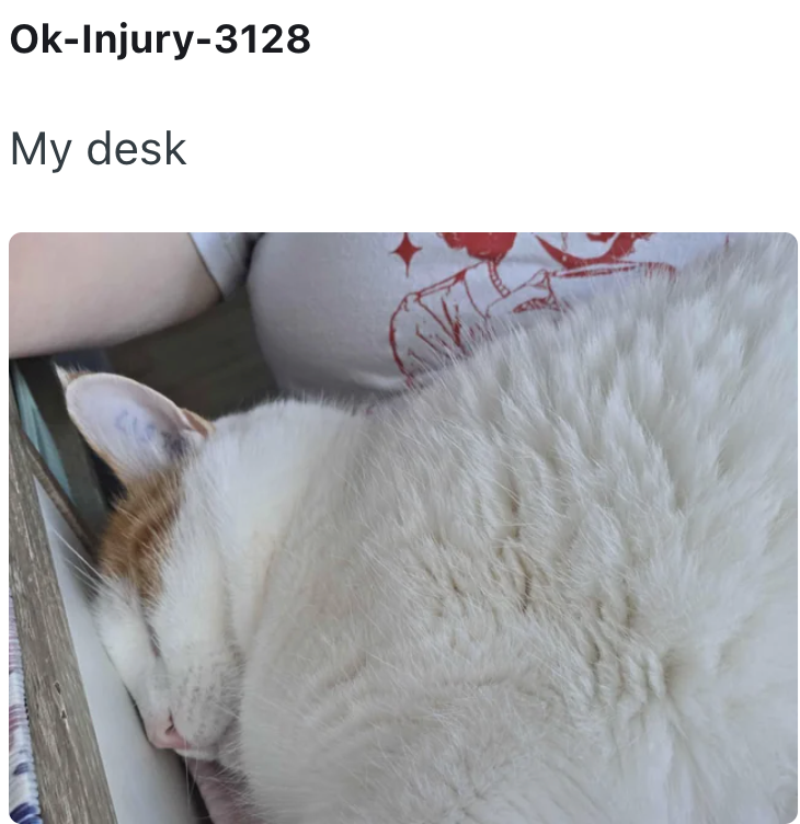 Ok-Injury-3128 My desk
