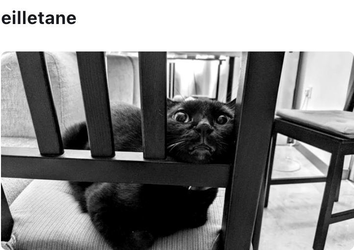eilletane