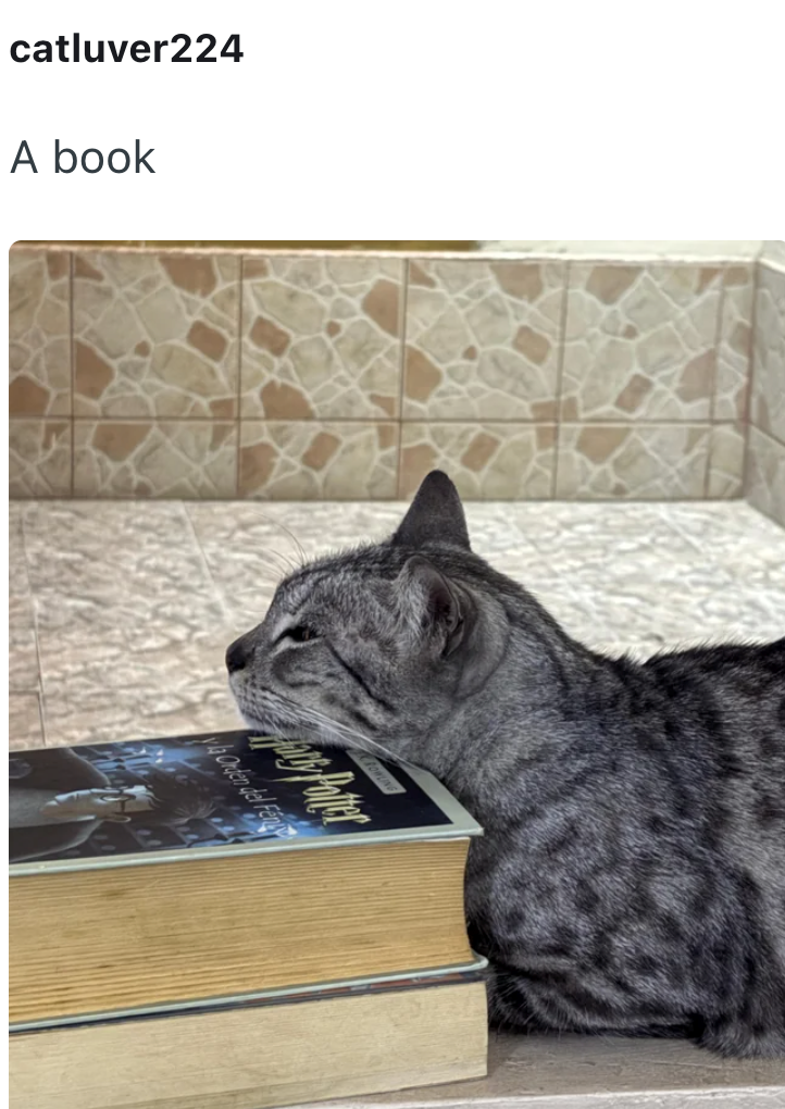 catluver224 A book ya Orden del Fen
