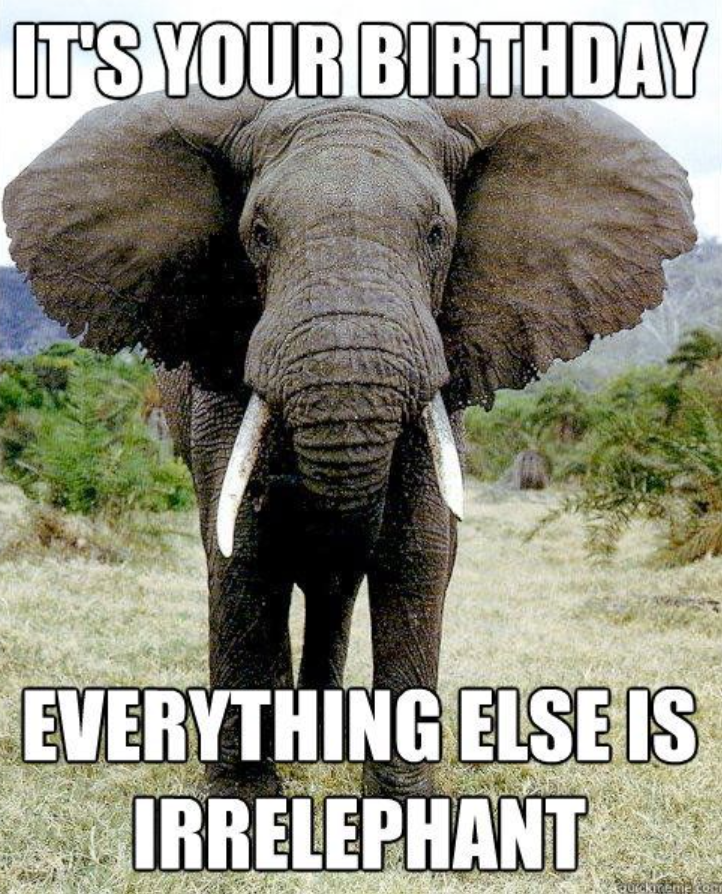 IT'S YOUR BIRTHDAY EVERYTHING ELSE IS IRRELEPHANT duckreme.com