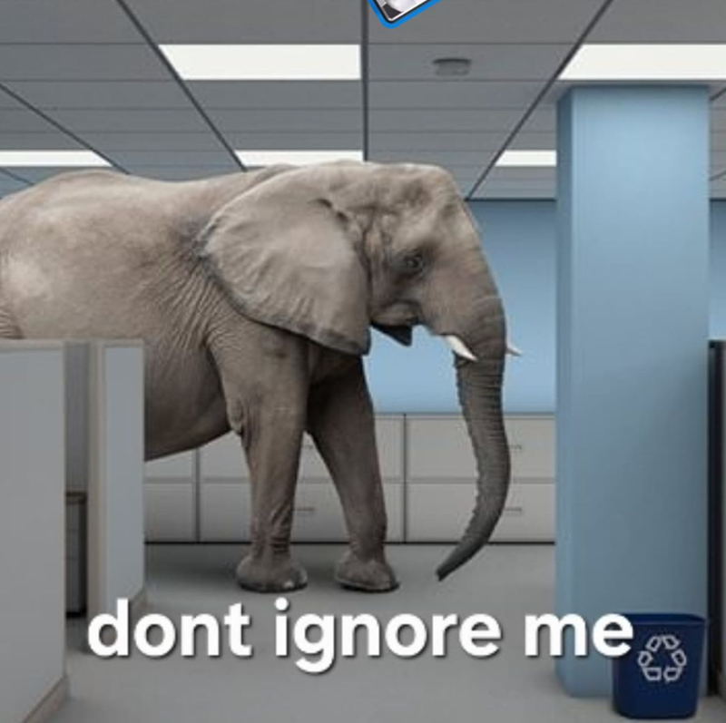 dont ignore me