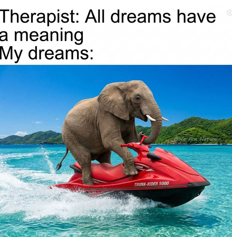 Therapist: All dreams have a meaning My dreams: TRUNK-RIDER 5000 @We Are Nature