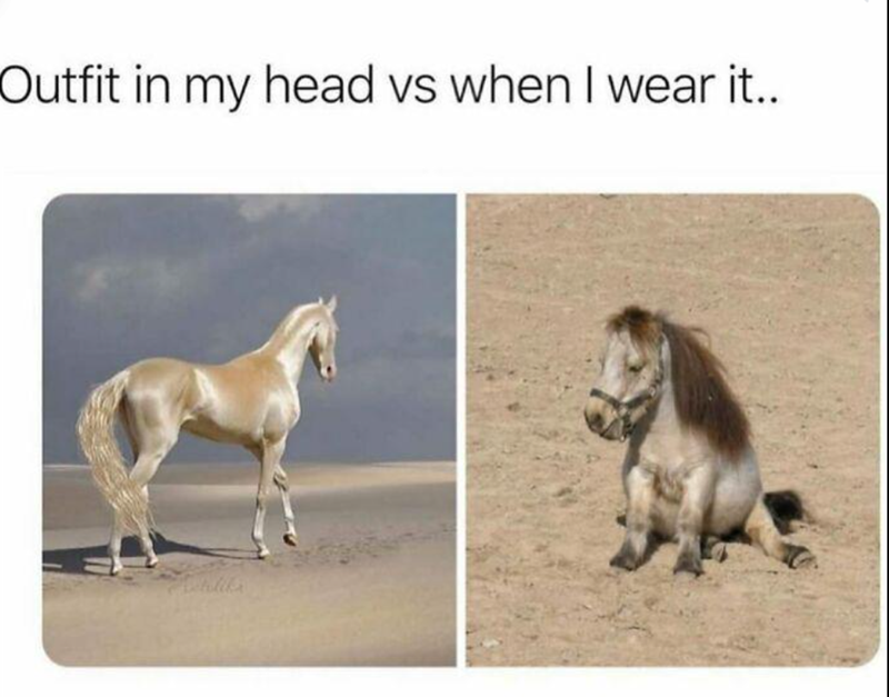 Outfit in my head vs when I wear it..