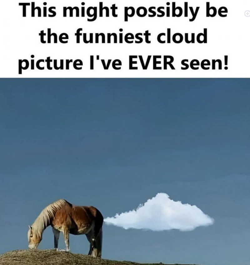 This might possibly be the funniest cloud picture I've EVER seen!