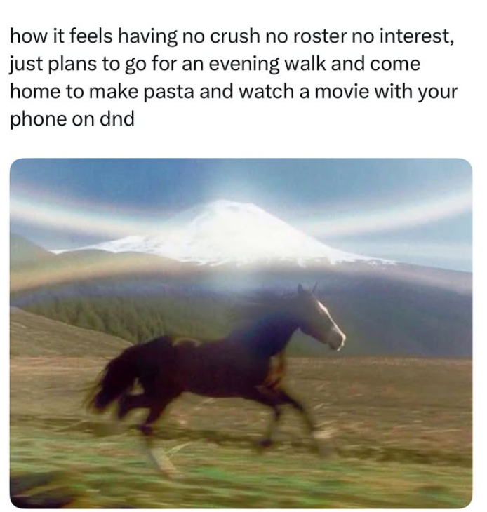 how it feels having no crush no roster no interest, just plans to go for an evening walk and come home to make pasta and watch a movie with your phone on dnd