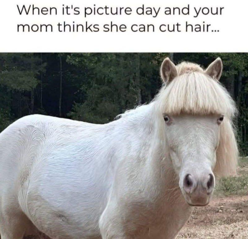 When it's picture day and your mom thinks she can cut hair...