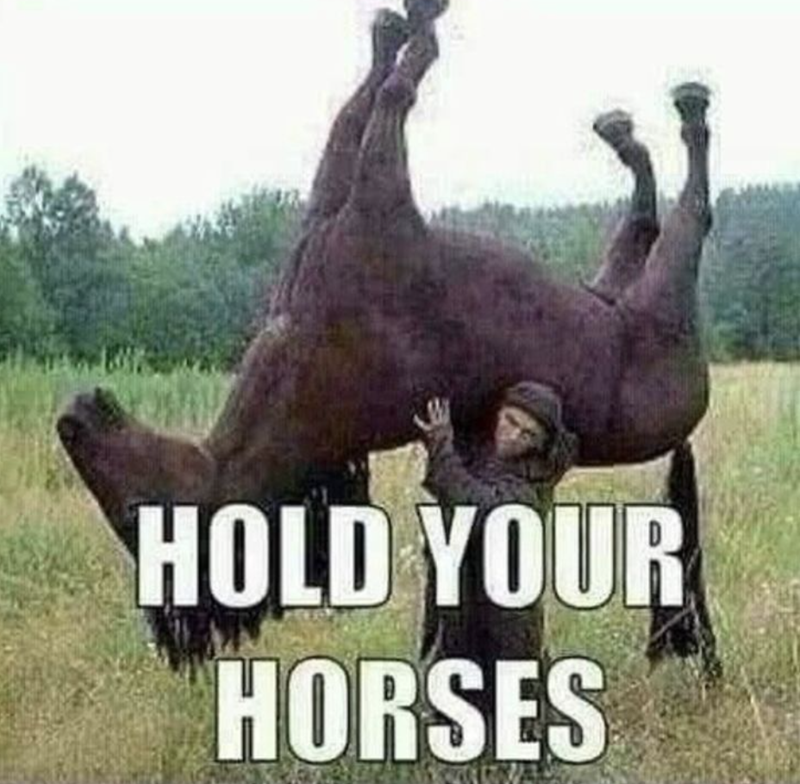 HOLD YOUR HORSES