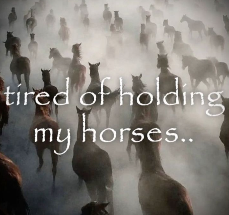 tired of holding my horses..