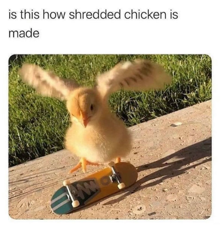 is this how shredded chicken is made