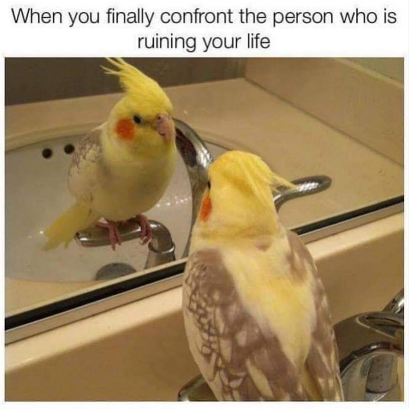 When you finally confront the person who is ruining your life