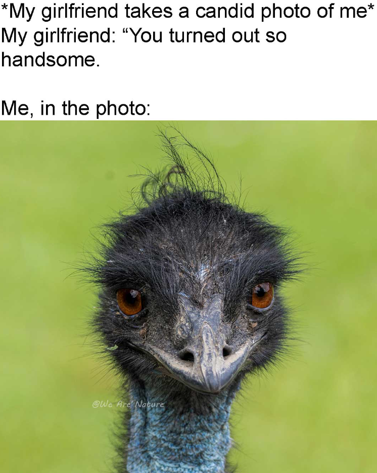 *My girlfriend takes a candid photo of me* My girlfriend: "You turned out so handsome. Me, in the photo: @We Are Nature