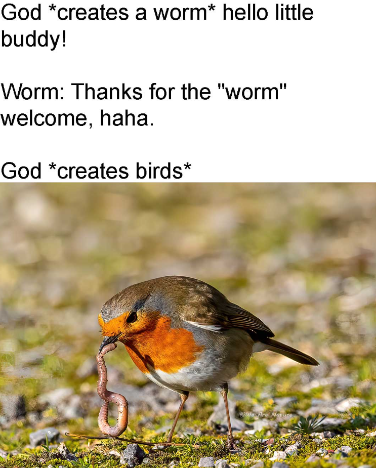 God *creates a worm* hello little buddy! Worm: Thanks for the "worm" welcome, haha. God *creates birds* @We Are Nature