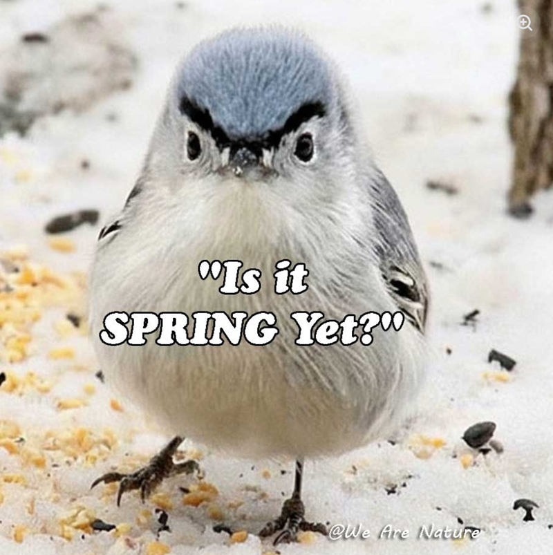 Is it SPRING Yet? @We Are Nature