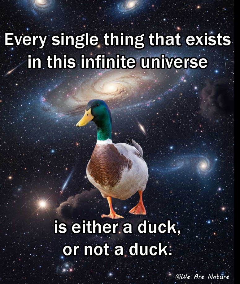 Every single thing that exists in this infinite universe is either a duck, or not a duck. @We Are Nature
