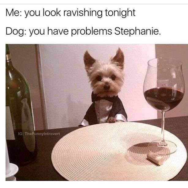 Me: you look ravishing tonight Dog: you have problems Stephanie. IG: TheFunnyIntrovert