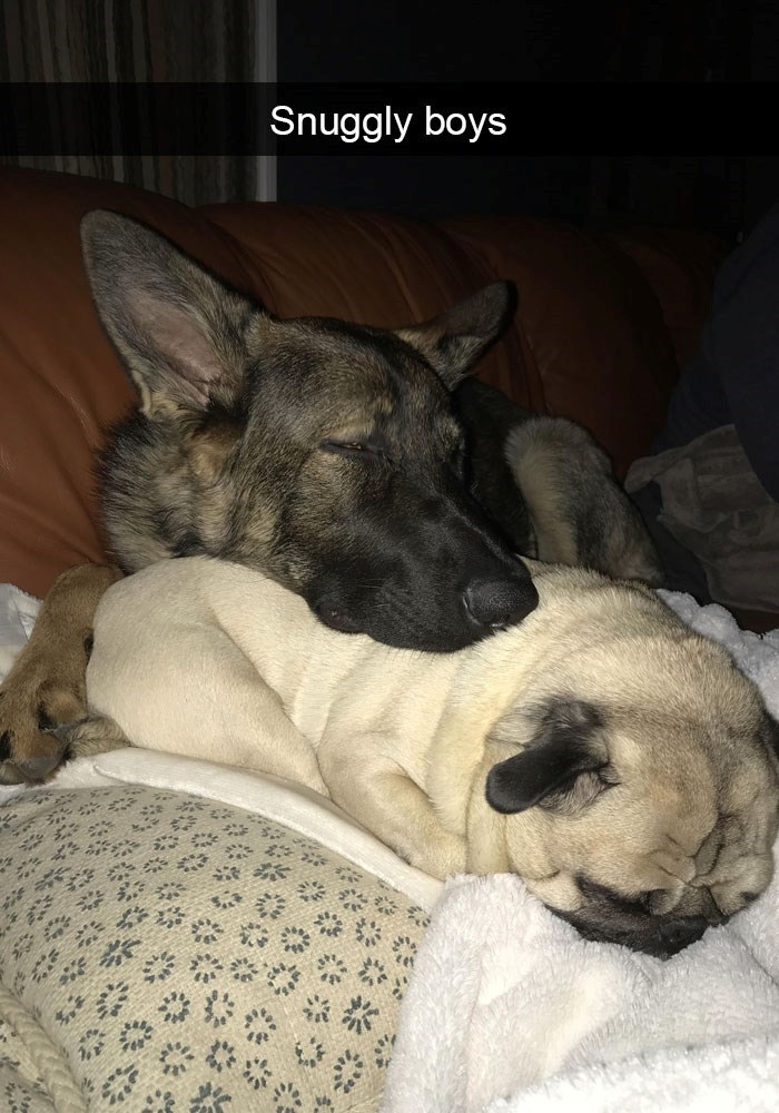 Snuggly boys