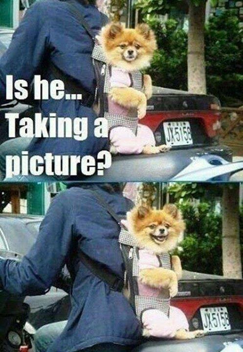 Is he... Taking a picture? JX5158 UX5150