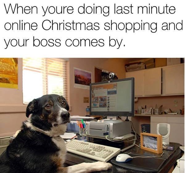 When youre doing last minute online Christmas shopping and your boss comes by.