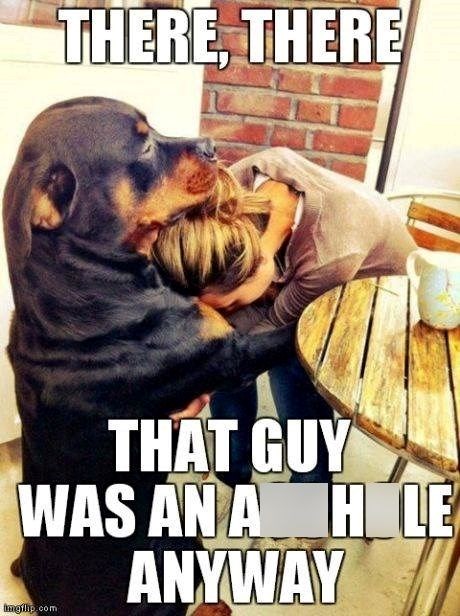THERE, THERE THAT GUY WAS AN A HOLE ANYWAY imgilip.com