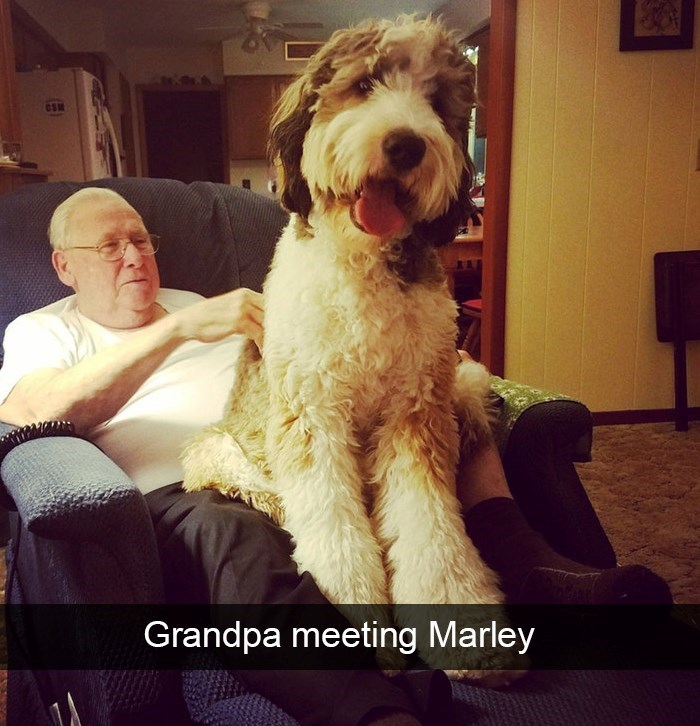 CSM Grandpa meeting Marley