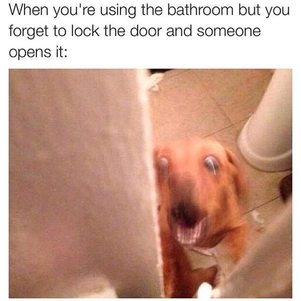 When you're using the bathroom but you forget to lock the door and someone opens it: