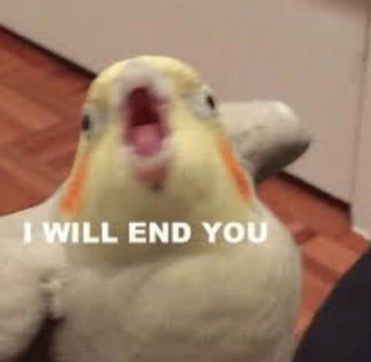 I WILL END YOU