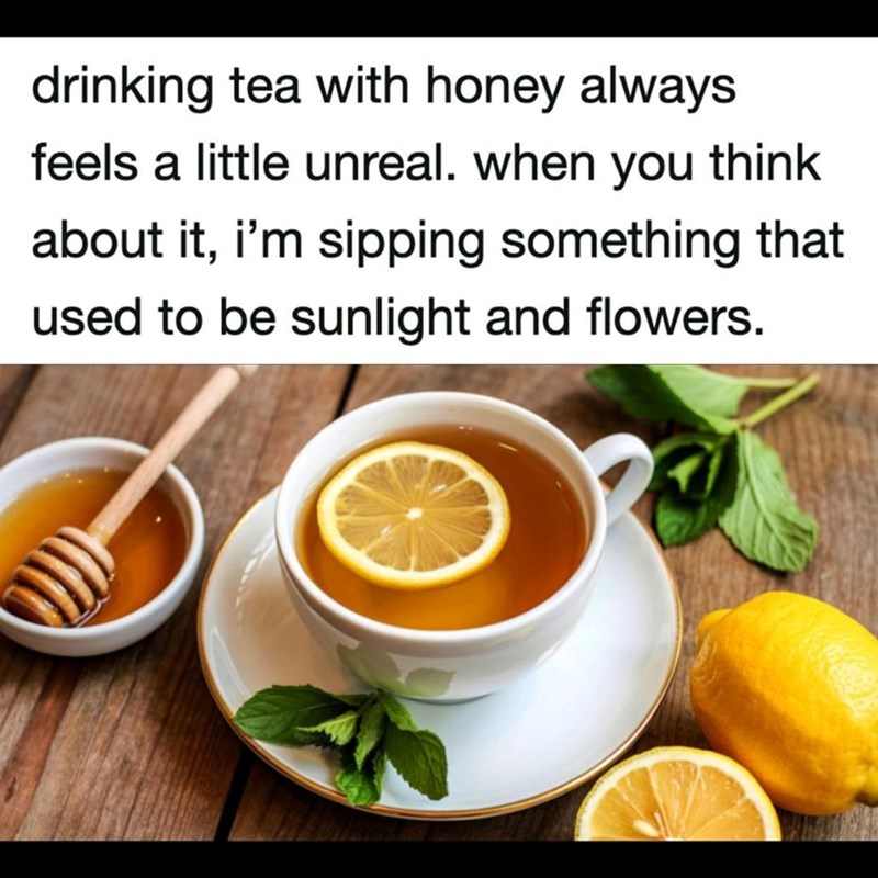 drinking tea with honey always feels a little unreal. when you think about it, i'm sipping something that used to be sunlight and flowers.
