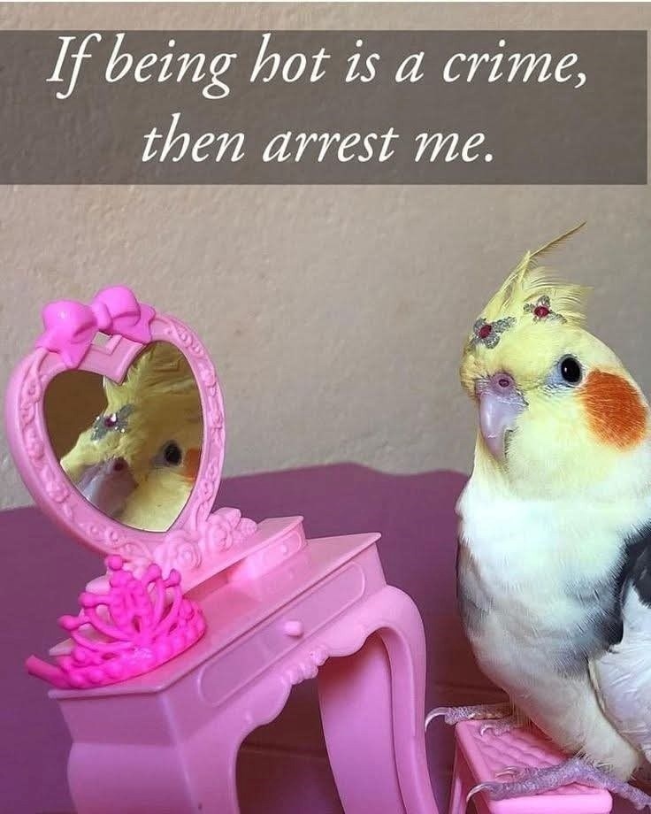 If being hot is a crime, then arrest me.