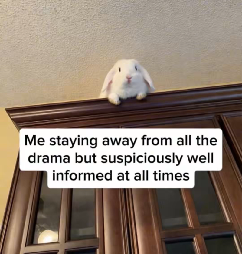 Me staying away from all the drama but suspiciously well informed at all times
