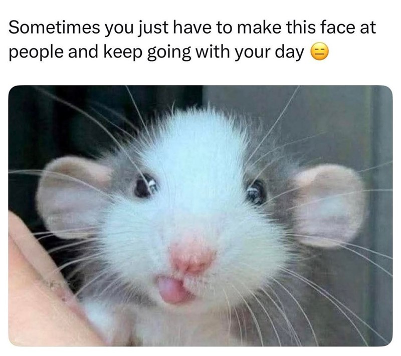 Sometimes you just have to make this face at people and keep going with your day