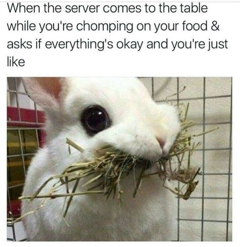 When the server comes to the table while you're chomping on your food & asks if everything's okay and you're just like