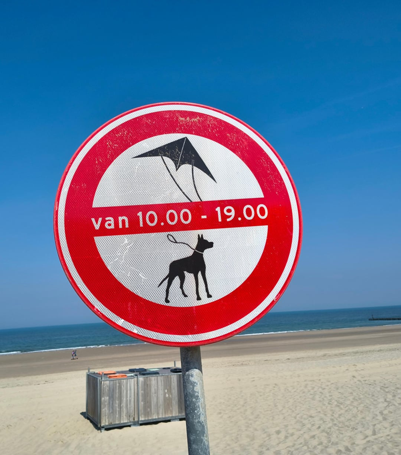 van 10.00 - 19.00