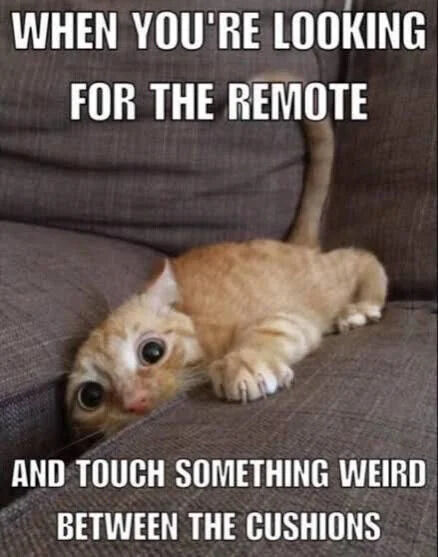 WHEN YOU'RE LOOKING FOR THE REMOTE AND TOUCH SOMETHING WEIRD BETWEEN THE CUSHIONS
