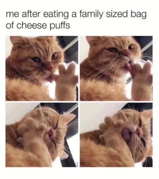 me after eating a family sized bag of cheese puffs