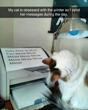 My cat is obsessed with the printer so I send her messages during the day. Hello Kitty! So Much Funt Meow Meow Meow Meow Meow Meow Meow Meow Meow