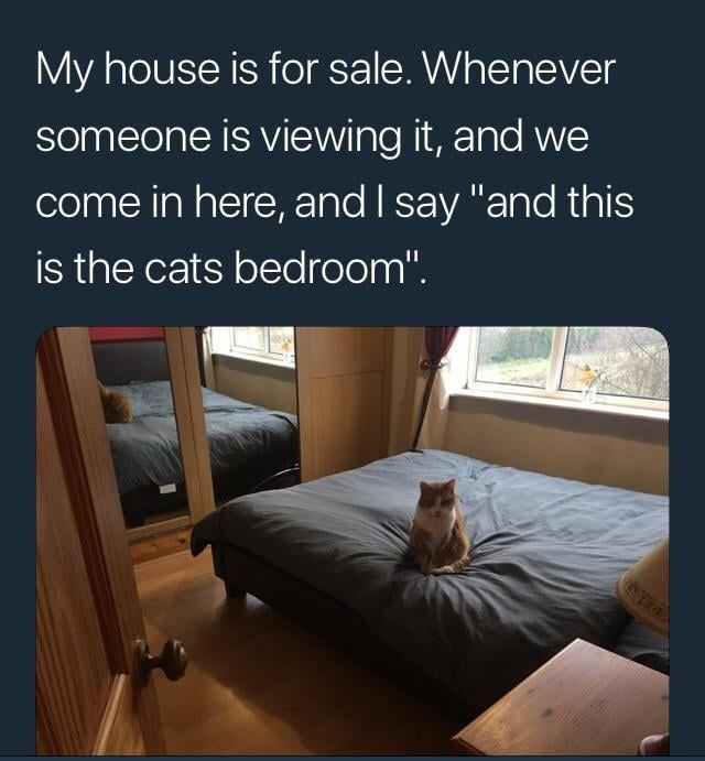 My house is for sale. Whenever someone is viewing it, and we come in here, and I say "and this is the cats bedroom".
