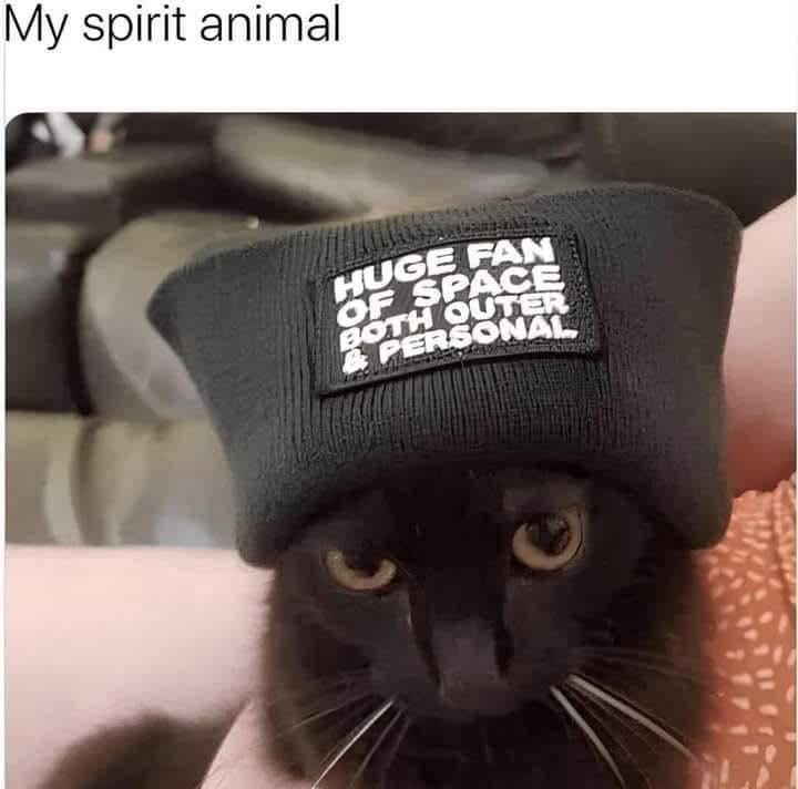 My spirit animal HUGE FAN OF SPACE BOTH OUTER PERSONAL
