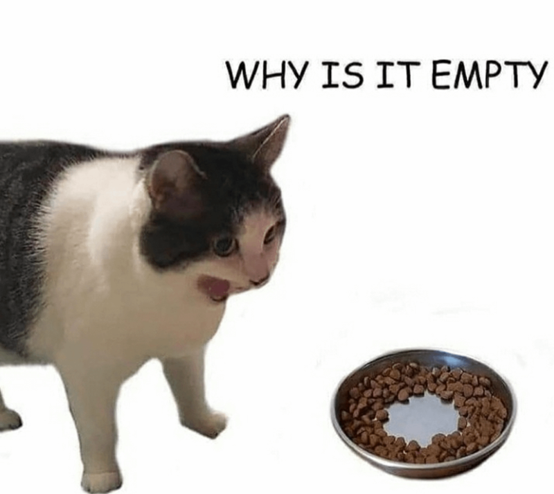 WHY IS IT EMPTY