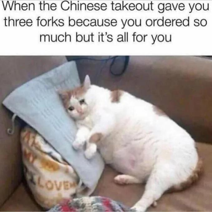 When the Chinese takeout gave you three forks because you ordered so much but it's all for you LOVE