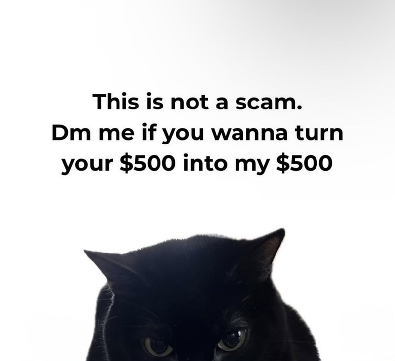 This is not a scam. Dm me if you wanna turn your $500 into my $500