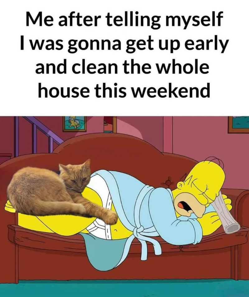 Me after telling myself I was gonna get up early and clean the whole house this weekend