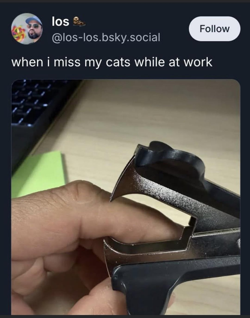 los 9t Follow @los-los.bsky.social when i miss my cats while at work